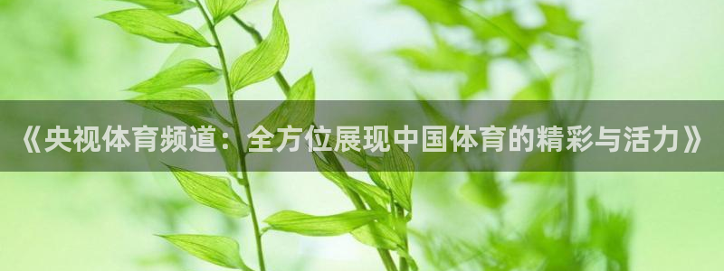 《央视体育频道：全方位展现中国体育的精彩与活力》