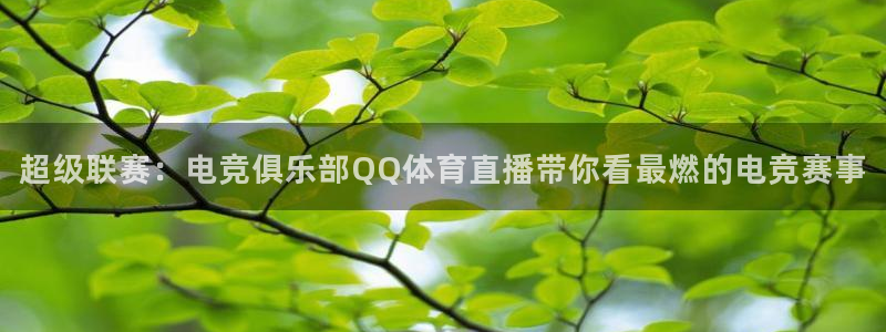 超级联赛：电竞俱乐部QQ体育直播带你看最燃的电竞赛事