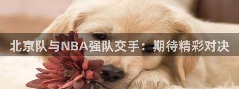 北京队与NBA强队交手：期待精彩对决
