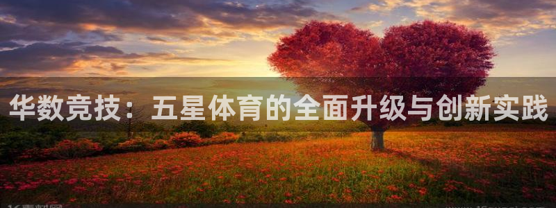 华数竞技：五星体育的全面升级与创新实践